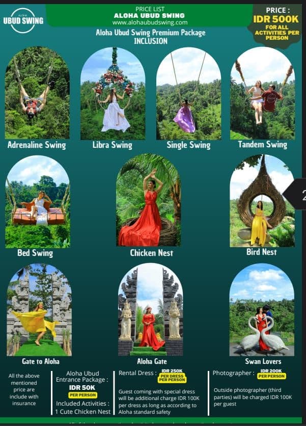 Bali Swing – Jungle & Ricefield Views