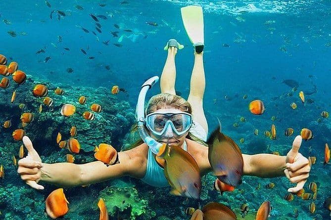 Blue Lagoon Snorkelling – East Bali